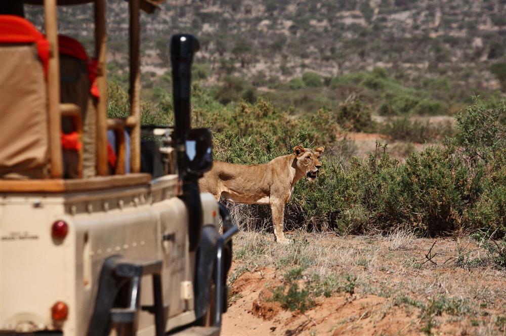 Saruni Samburu Lodge